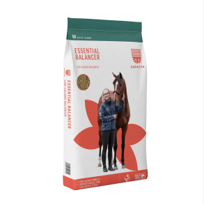  Essential Balancer 20 kg