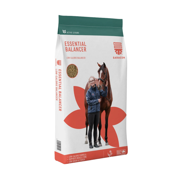  Essential Balancer 20 kg