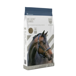 Releve Cubes 20 kg