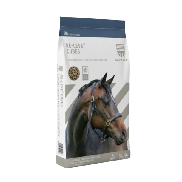  Releve Cubes 20 kg
