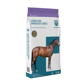  Condition Imp. Cubes 20 kg