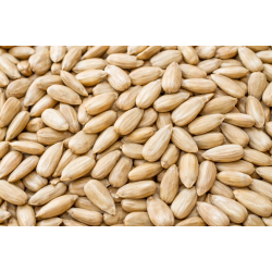 M�llerens Solsikkefr�, afskallede 12 kg