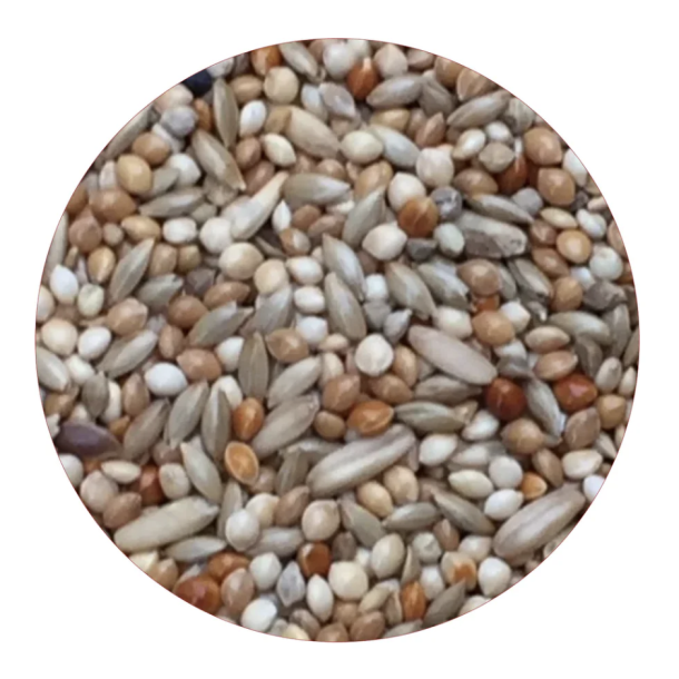 Undulat Prima 20 kg