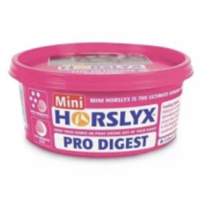 Horslyx Mini Pro Digest 650 gram