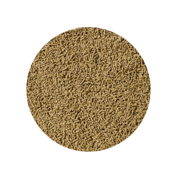  Essential Balancer 20 kg