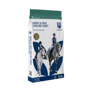  H&P Cooling Cubes 20 kg