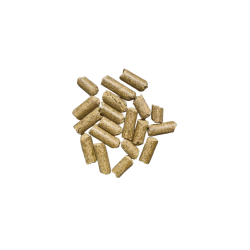 Saracen Munchies 1.8 kg