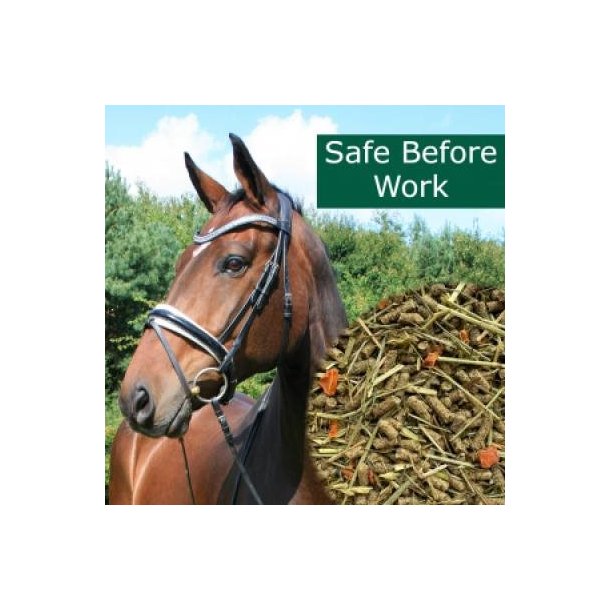 HorsePro Safe Before Work 20 kg